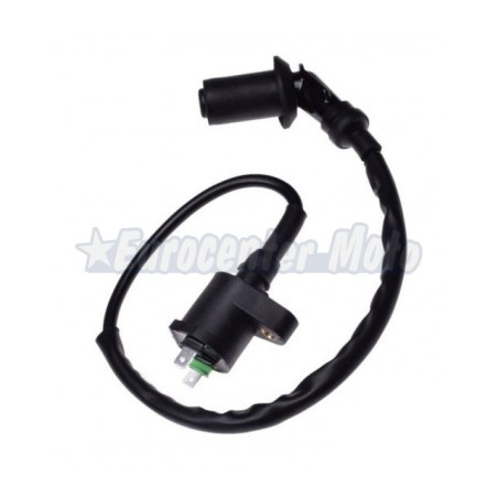 Bobina de alta Honda, Kymco y Peugeot scooter 50 de 4 tiempos