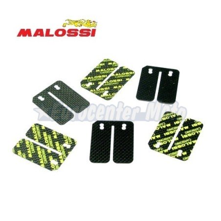 Juego láminas Malossi VL11 y cajas de láminas originales de Piaggio y Minarelli Horizontal 50 2T