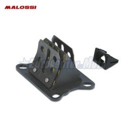 Caja láminas carbono Malossi VL6 motores Minarelli AM6. Espesor 0.30