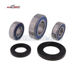 Kit rodamientos y retenes de rueda trasera Suzuki DL 650/1000 V-Strom
