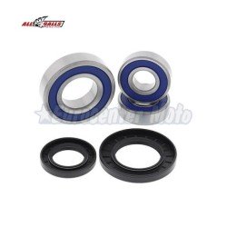 Kit rodamientos y retenes de rueda trasera Suzuki DL 650/1000 V-Strom