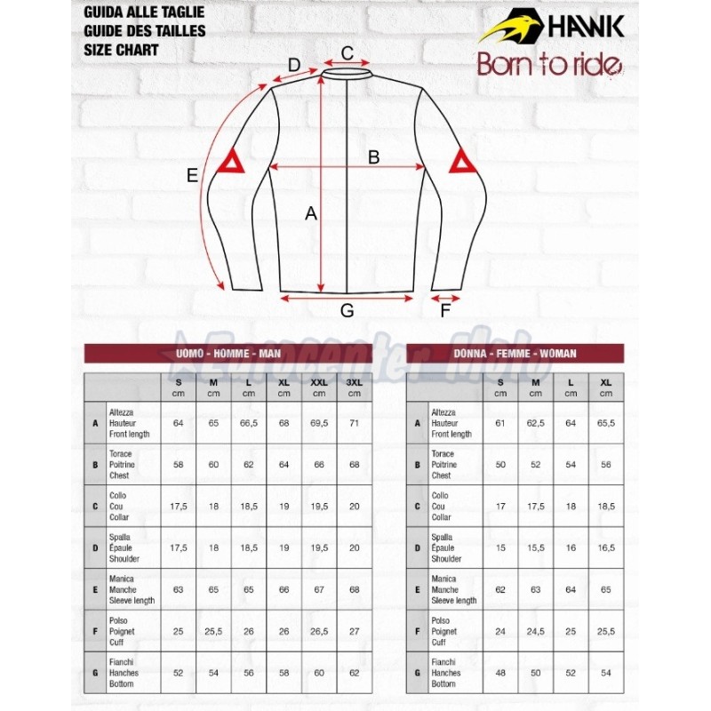 Chaqueta 4 estaciones Hawk Bora Hombre. Invierno/Otoño