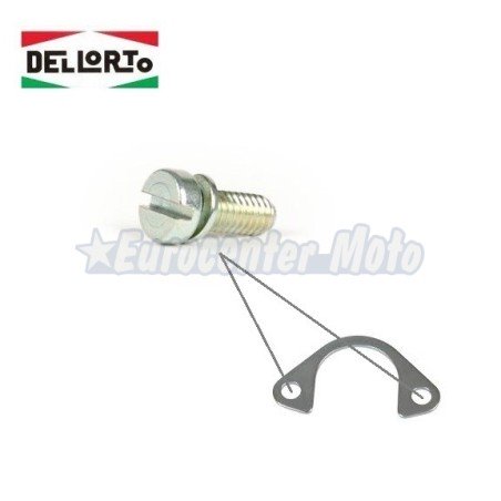 Tornillo placa sujeción Starter eléctrico carburadores Dellorto PHVA y varios