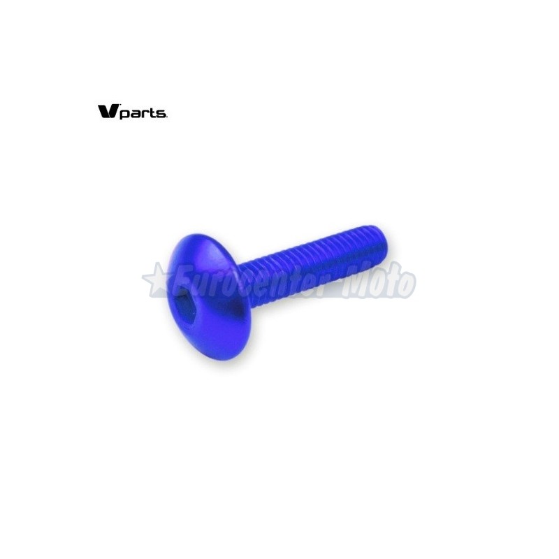 Kit 6 tornillos allen cabeza alomada M6x20. Colores varios