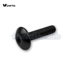 Kit 6 tornillos allen cabeza alomada M6x20. Colores varios