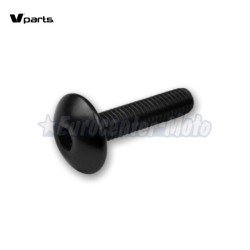 Kit 6 tornillos allen cabeza alomada M6x20. Colores varios