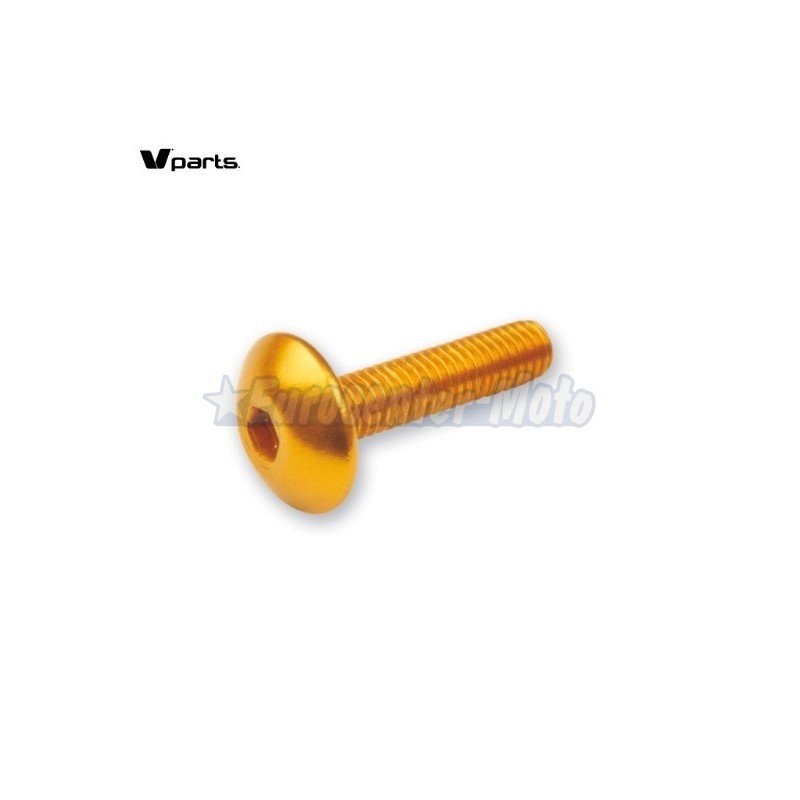 Kit 6 tornillos allen cabeza alomada M6x20. Colores varios