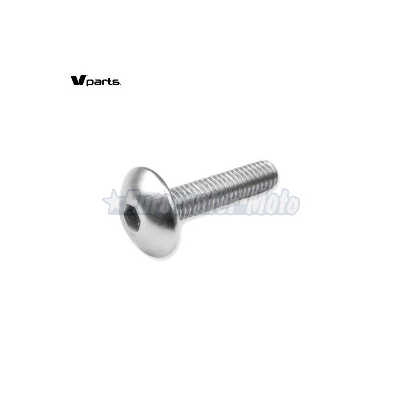 Kit 6 tornillos allen cabeza alomada M6x20. Colores varios