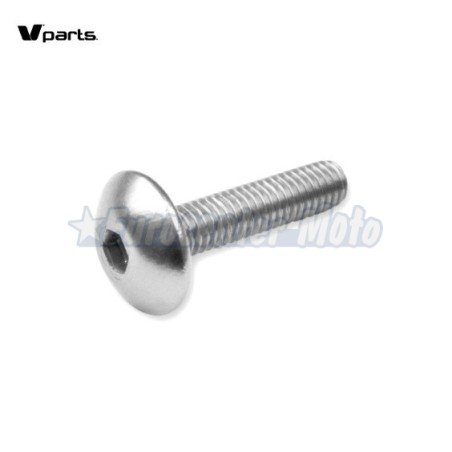 Kit 6 tornillos allen cabeza alomada M6x20. Colores varios