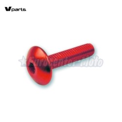 Kit 6 tornillos allen cabeza alomada M6x20. Colores varios