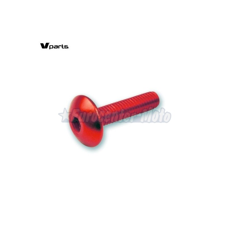 Kit 6 tornillos allen cabeza alomada M6x20. Colores varios