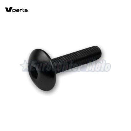 Kit 6 tornillos allen cabeza alomada M5x20. Colores varios