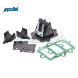 Caja de láminas Polini Evolution motores Minarelli