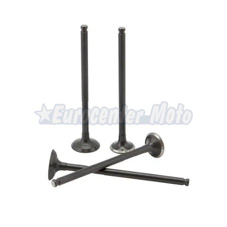 Juego válvulas admisión y escape Yamaha N-Max 125 de 2015 a 2020