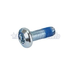 Tornillo M8x125 disco de freno Yamaha varios modelos.