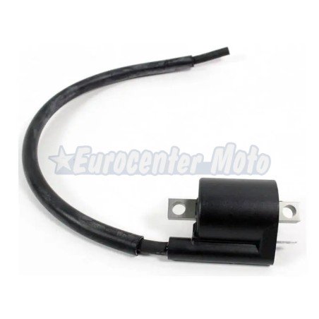Bobina de alta TNT motores Minarelli/Yamaha scooter 50