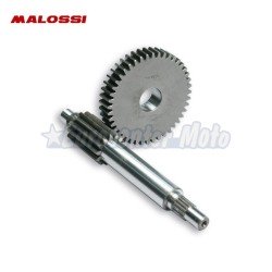 Desarrollo Primario Malossi HTQ 13/44 Minarelli scooter varios modelos.