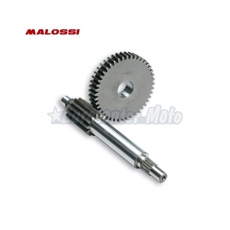 Desarrollo Primario Malossi HTQ 13/44 Minarelli scooter varios modelos.