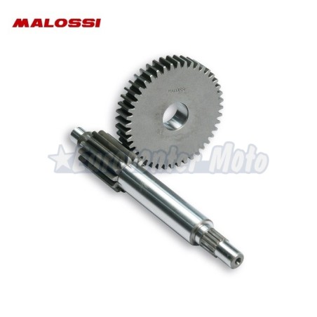 Desarrollo Primario Malossi HTQ 13/44 Minarelli scooter varios modelos.