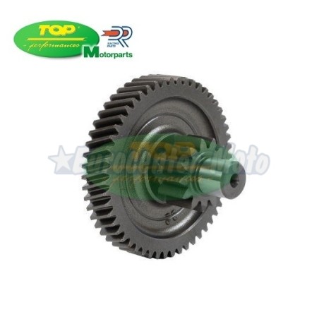 Transmisión secundaria Minarelli Horizontal Carter Corto. 12/48z