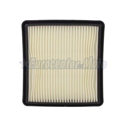 Filtro de aire Yamaha X-Max 300. Carter