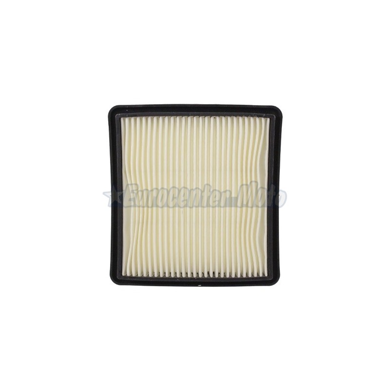 Filtro de aire Yamaha X-Max 300. Carter