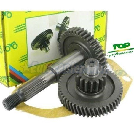 Transmisión Secundaria Top motores Minarelli/Yamaha Scooter. 16/41z