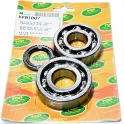 Kit cojinetes y reten cigüeñal Top Yamaha X-Max 250, Majesty 250, Versity 300…