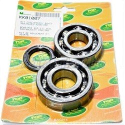 Kit cojinetes y reten cigüeñal Top Yamaha X-Max 250, Majesty 250, Versity 300…