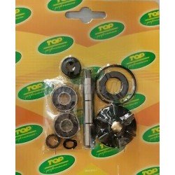 Kit reparación bomba agua Top Performances motores Piaggio scooter 50 LC
