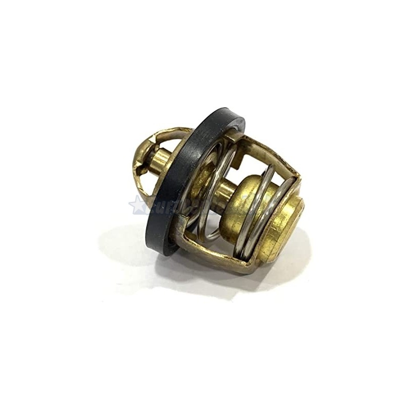 Termostato Yamaha X-Max 125/250, Majesty 125…