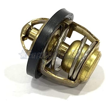 Termostato Yamaha X-Max 125/250, X-City 250, Majesty 125…