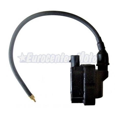 Bobina Aprilia Scarabeo Light 4T IE 125/200 y Scarabeo NET IE 4T 125 desde 2010