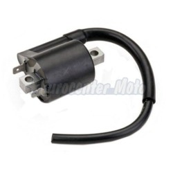 Bobina Yamaha X-Max 125/250/400, Cygnus X 125, Xenter, X-City, Bw´s 125…