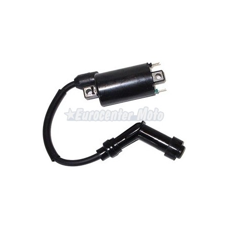 Bobina Yamaha Majesty 250 antigua, Kymco Grand Dink 250, SYM GTS 250, Joymax...29,95