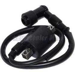 Bobina Yamaha Majesty 125 hasta 2009,Teo´s, Maxter, Italjet Jupiter, Millenium 125...