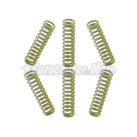 Juego 6 muelles embrague Yamaha T-Max 500 de 2001 a 2007