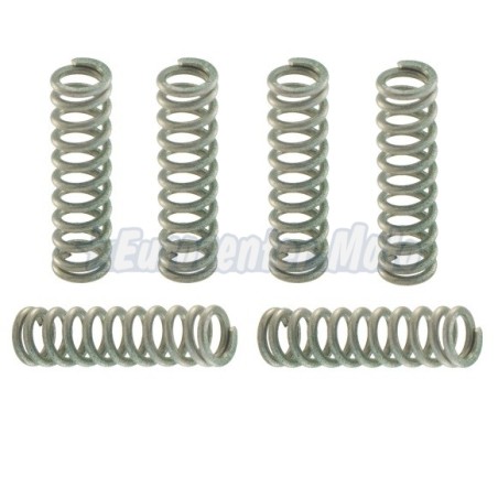 Juego 6 muelles embrague Yamaha T-Max 530 desde 2012