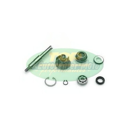 Kit reparación bomba de agua Top Performances Honda Dylan, PS, S-Wing, SH 125-150cc