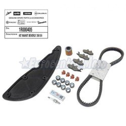 Kit mantenimiento completo Piaggio Beverly 350 IE desde 2017