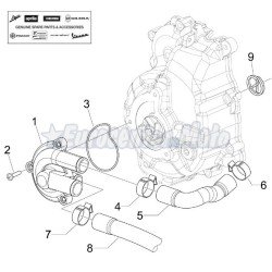 Junta tapa racord bomba agua Original Piaggio 125/250/300