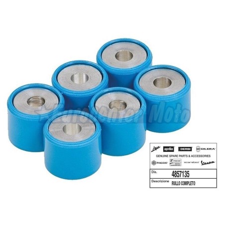 Rodillos variador Original Piaggio varios modelos. D.21x17 de 10,7Gr