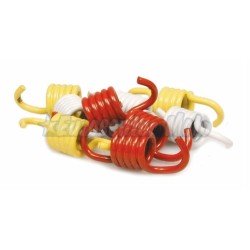 Muelles embrague Malossi motores Honda 125/150 y Piaggio 125 Iget 3V