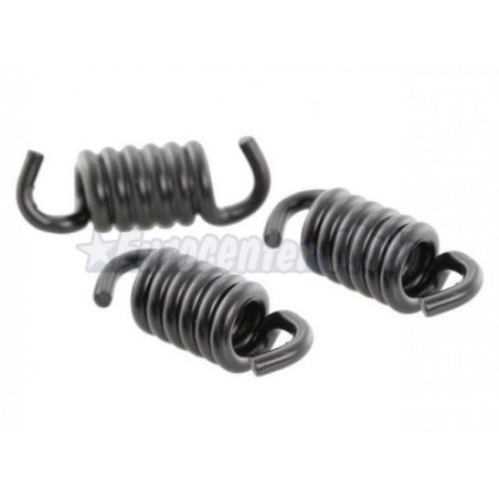 Muelles embrague Malossi MHR Racing Delta Clutch Ø2,2 varios modelos