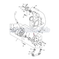 Junta bomba de agua Yamaha YP Majesty 125/150/180
