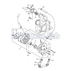 Junta bomba de agua Yamaha YP Majesty 125/150/180