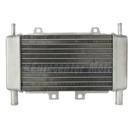 Radiador Original Piaggio Zip SP 50, Gilera Runner y DNA 50