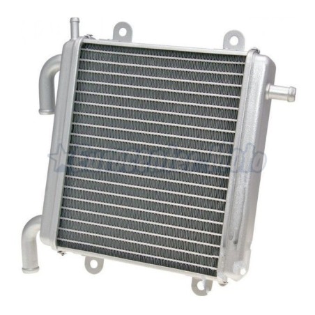 Radiador Yamaha Aerox 50 1997/2016 y MBK Nitro
