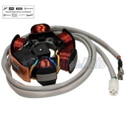 Stator Original motores Piaggio 50 2T hasta el 2000. Conexión Antigua.