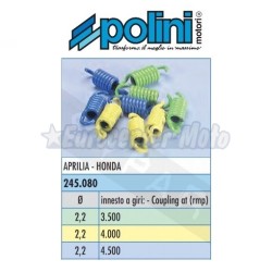 Kit de muelles embrague Polini motores Piaggio, Kymco y Honda 125/300 varios modelos